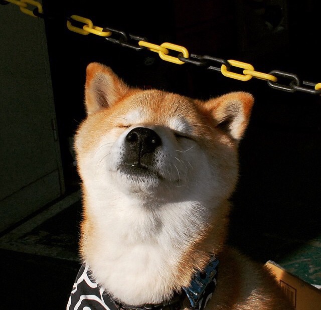 中小学课外体育安全管理,中小学课外体育活动开展状况及对策研究