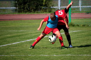 米兰体育登录-体育赛事志愿者管理及培训体系建设，体育赛事志愿者的工作要求